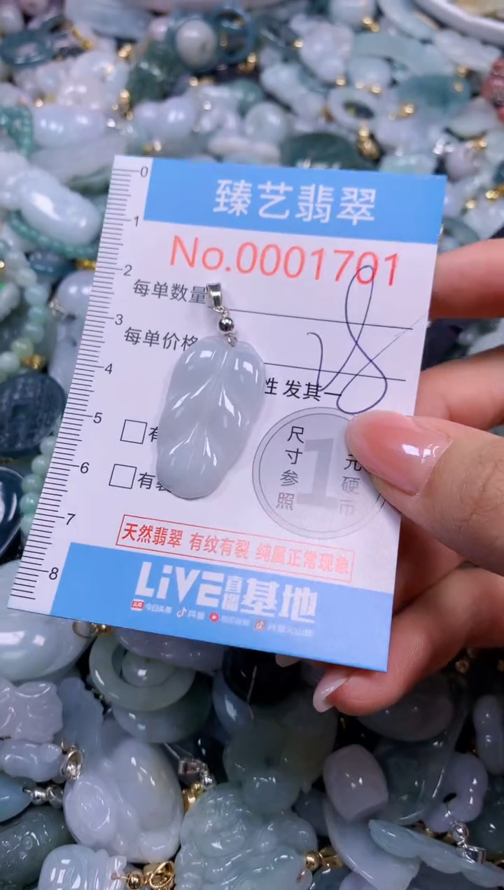 颈饰未镶嵌翡翠1701