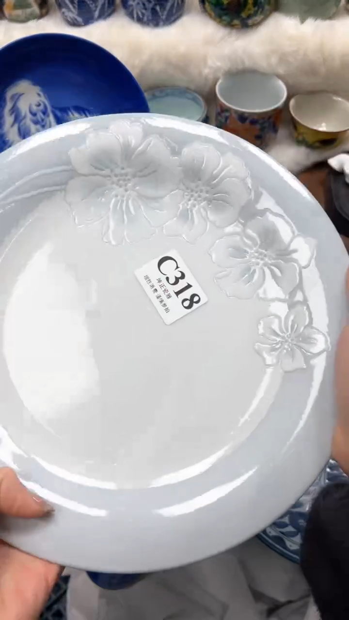 【闪购商品】瓷片          C318