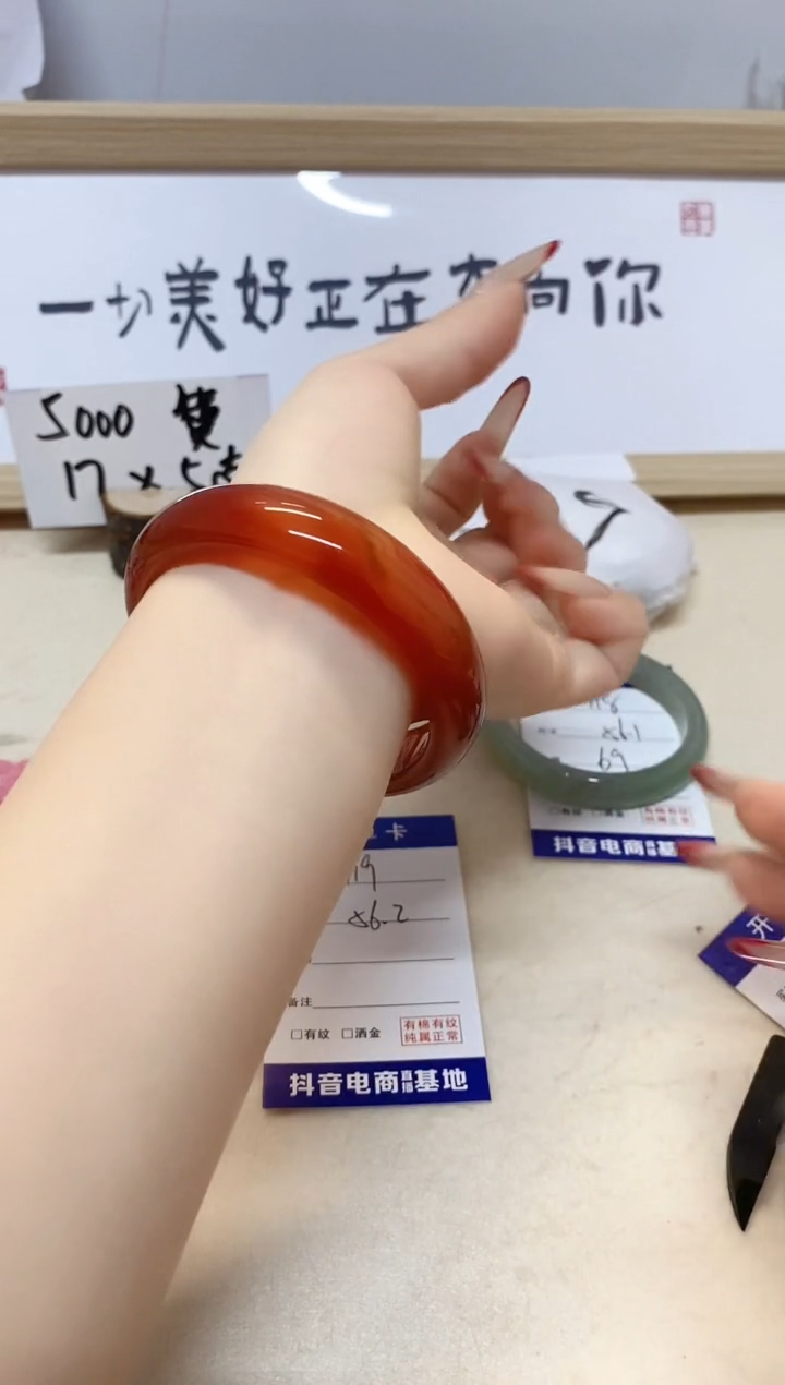 【闪购商品】石英质玉手镯未镶嵌119/56.2