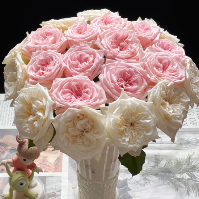 【草木与花】粉白荔枝 双拼 单头玫瑰鲜花基地直发任意两单顺丰包邮