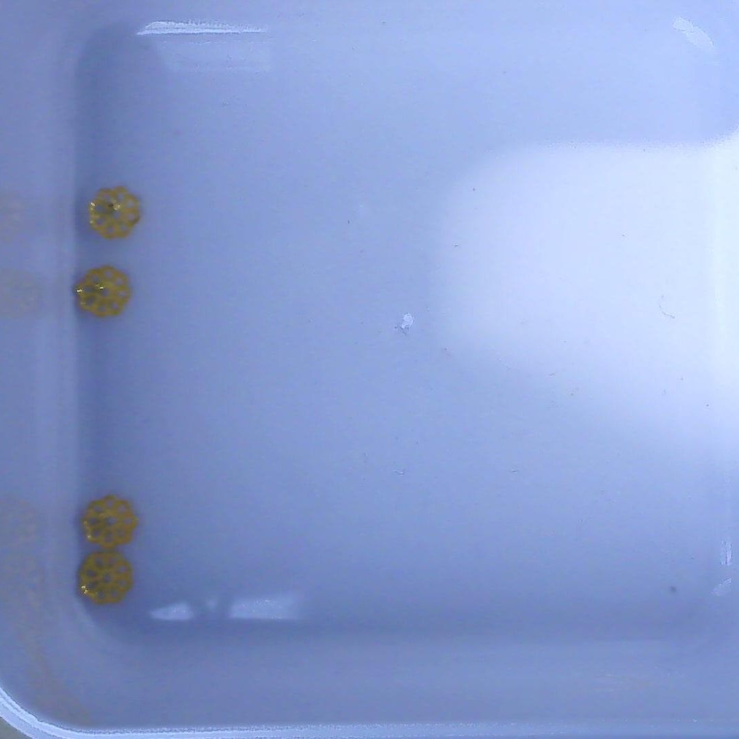 黄金足金小金 豆