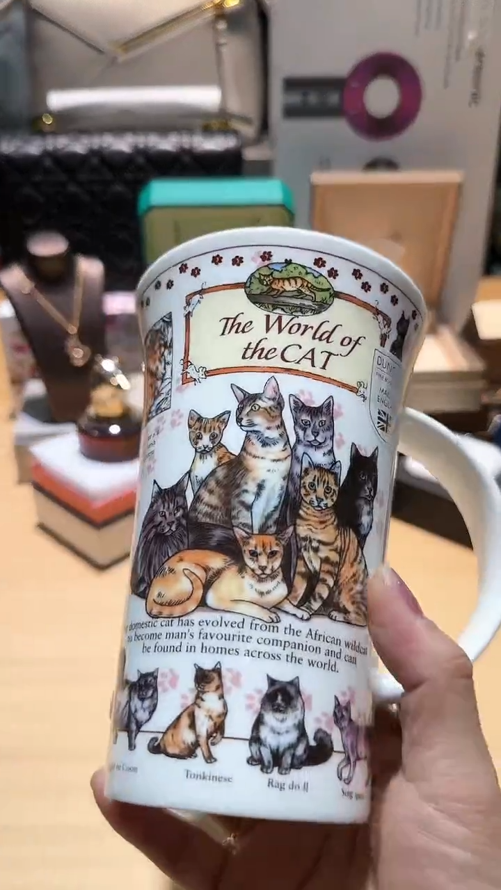 【闪购商品】瓷片锅碗瓢盆一件不剩