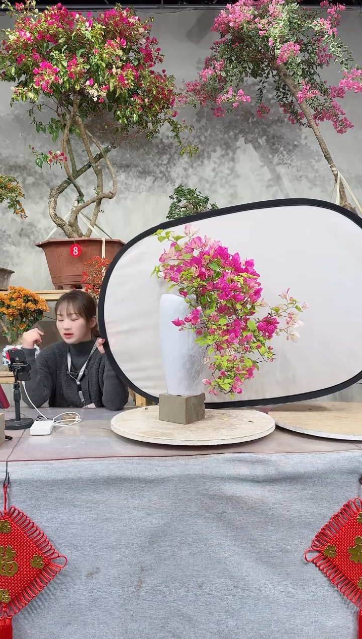 【闪购商品】盆景漳红樱