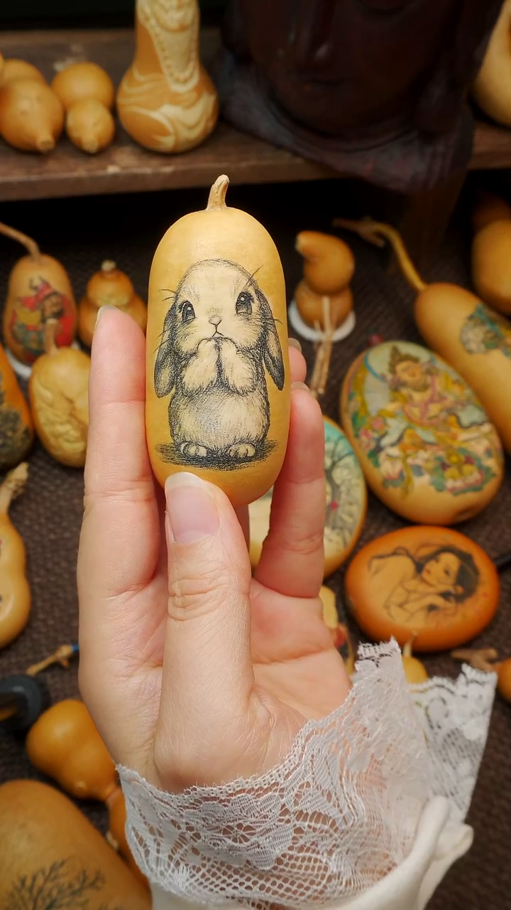 进****浪葫芦针刺小兔子