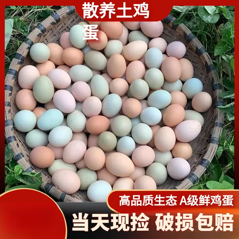 【混合装】30-50枚土鸡蛋乌鸡蛋混合装正宗农家散养土鸡蛋新鲜鸡蛋