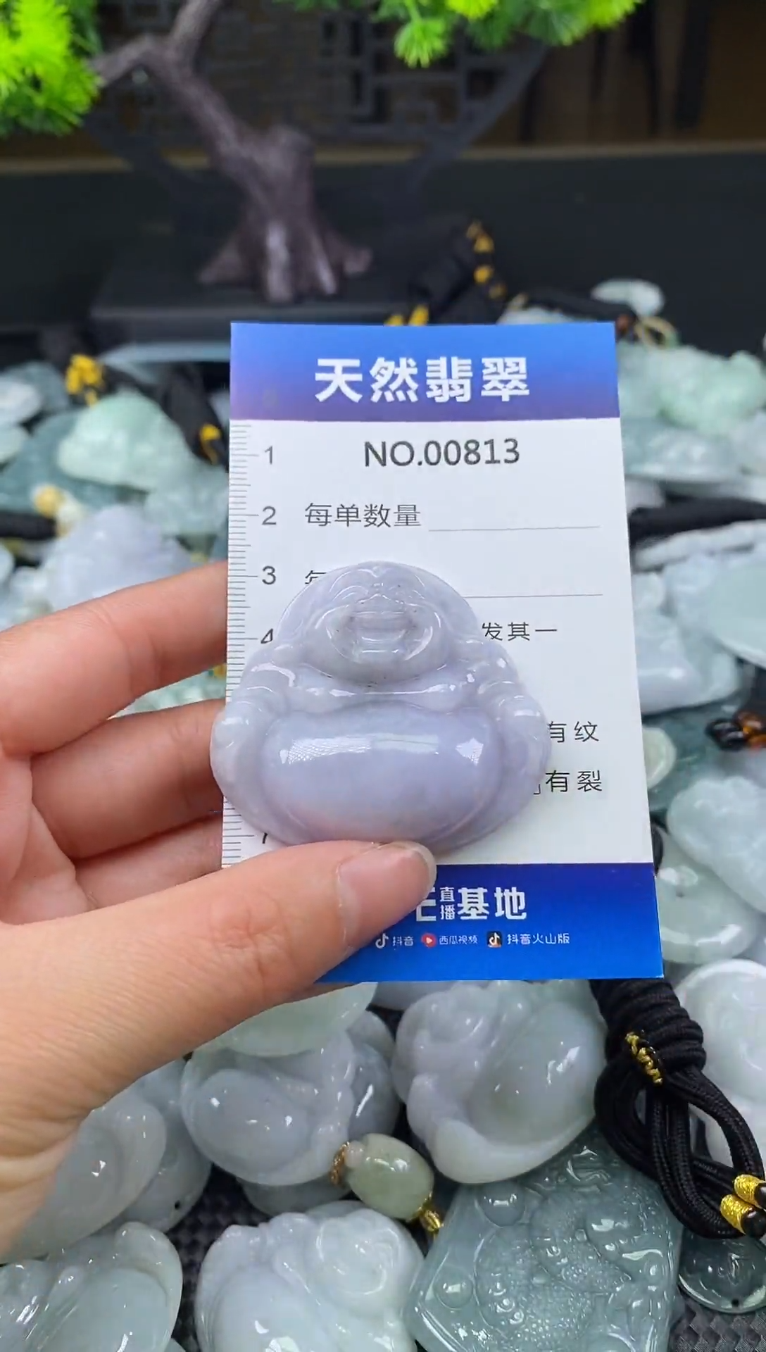 颈饰未镶嵌翡翠天然缅甸翡翠813