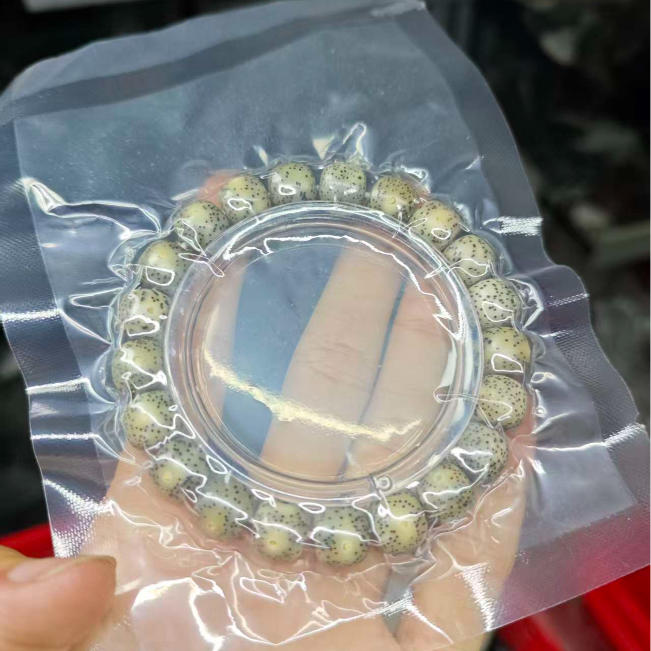 双十二破价福利 糯料冰糖星月菩提 p12011