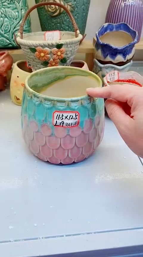 【闪购商品】陶瓷@@L19羽毛渐变1个   