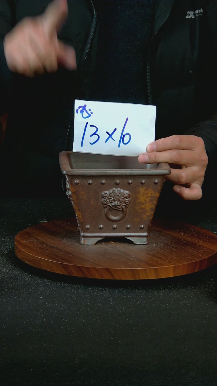 【闪购商品】紫砂C21