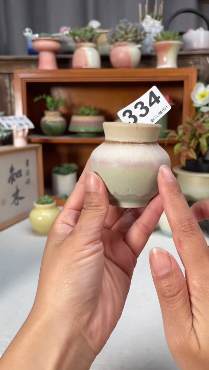 瓷片334小芳直播编号