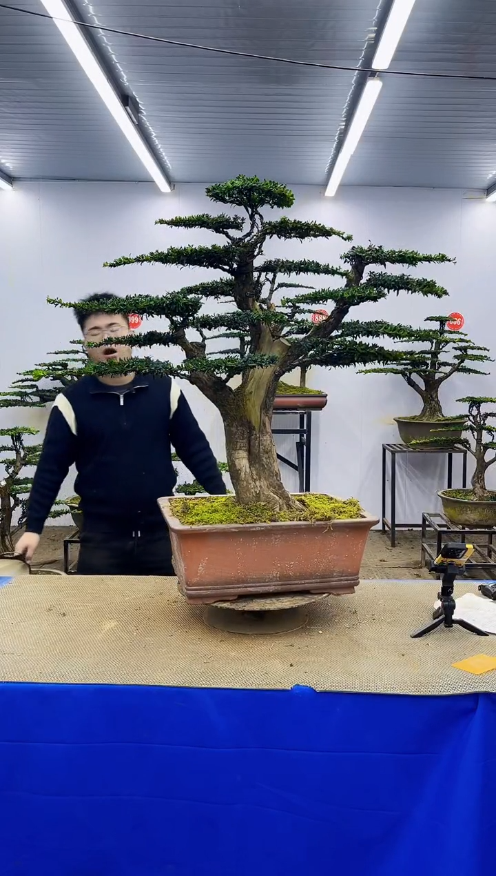 完全开放一物一拍，所见即所得
