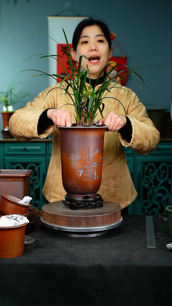 【闪购商品】紫砂花盆577+s颜色机选