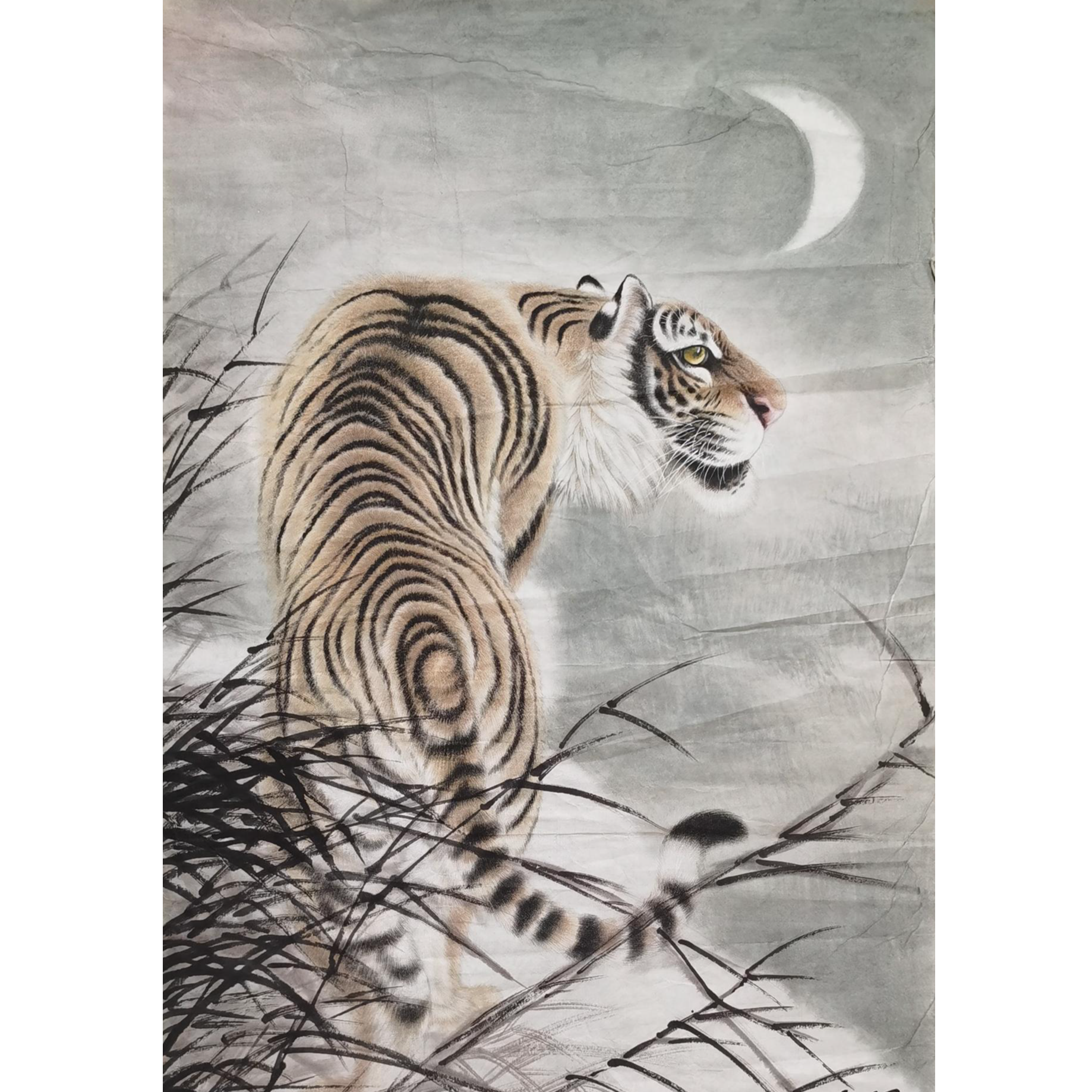 【辽拍】V250709-2-919《虎》（4.5平尺) 纸本镜芯 ws1229