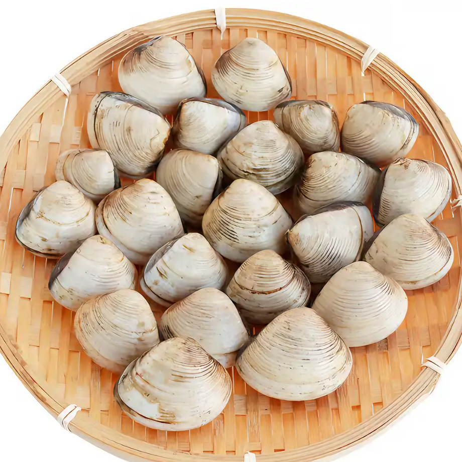 白蚬子约480g~500g（海产）