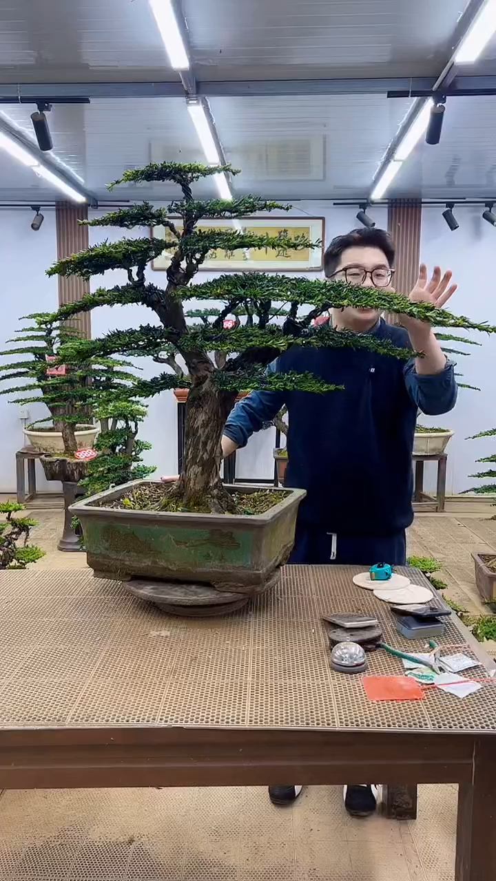 无花朵00000000000