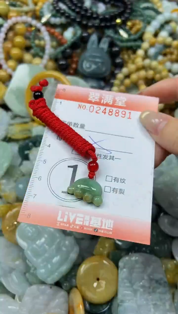 未镶嵌挂件翡翠闪购0248891