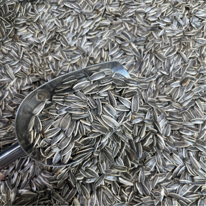 【农家瓜子新鲜货现炒现发】买一送一（中小）