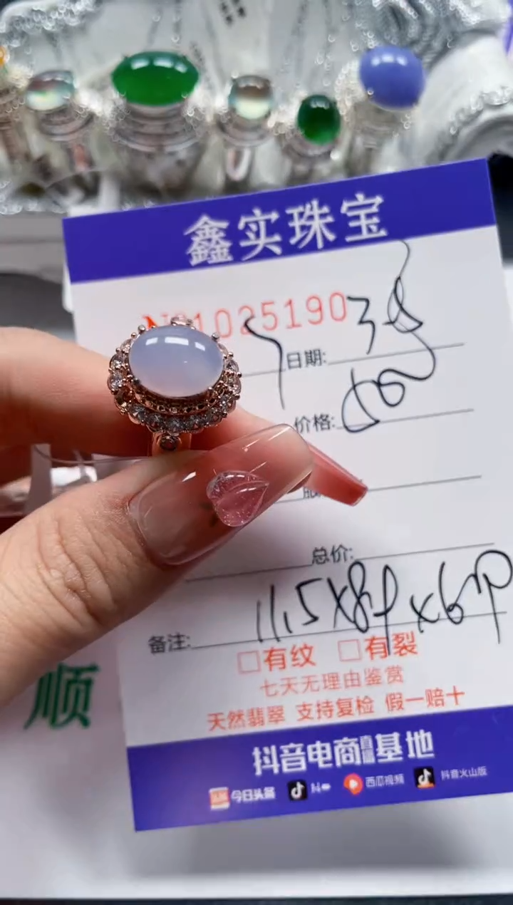 【闪购商品】翡翠颈饰未镶嵌/251900000