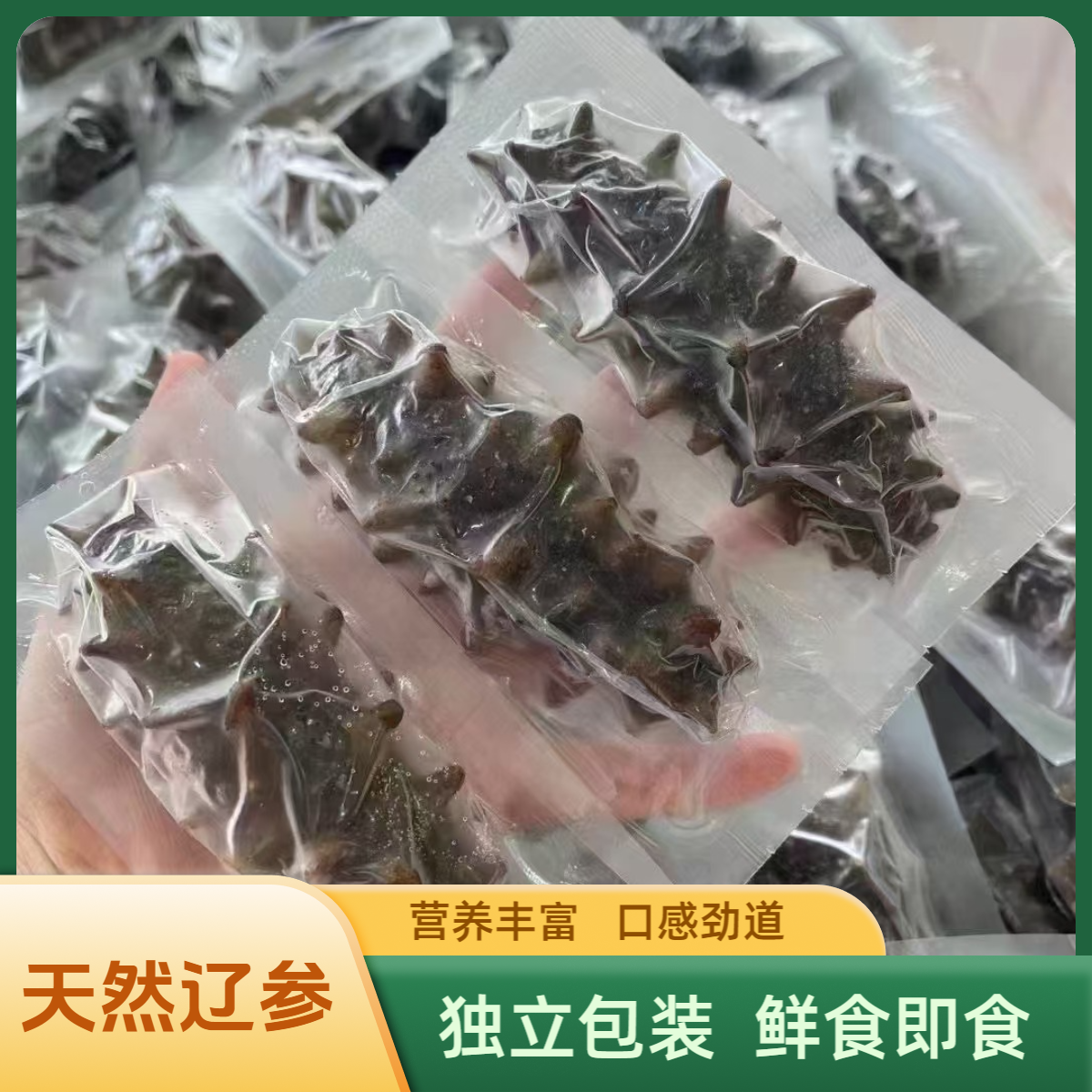 【15-16头尝试款 高品质辽刺参】高品质鲜食即食海参 营养美味滋补