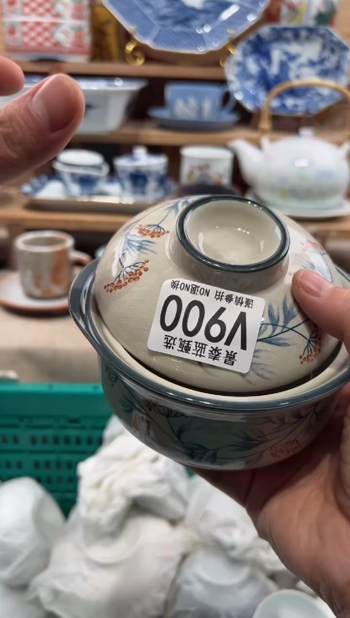 瓷片南*-瓷片-------V900