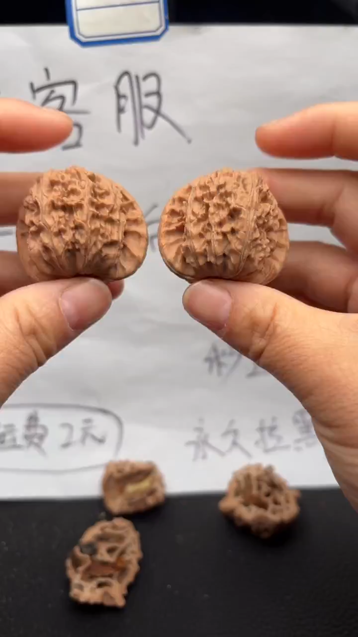 把件文玩核桃416白狮子