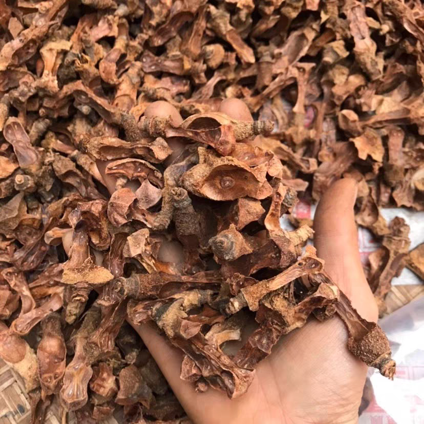 茶籽芯广西农家老树茶子心干货包邮