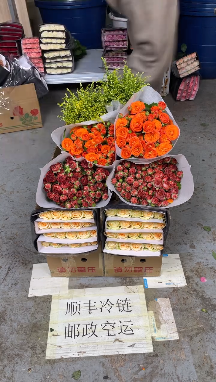 香槟20枝+巧克力10枝+橙色芭10枝+黄莺