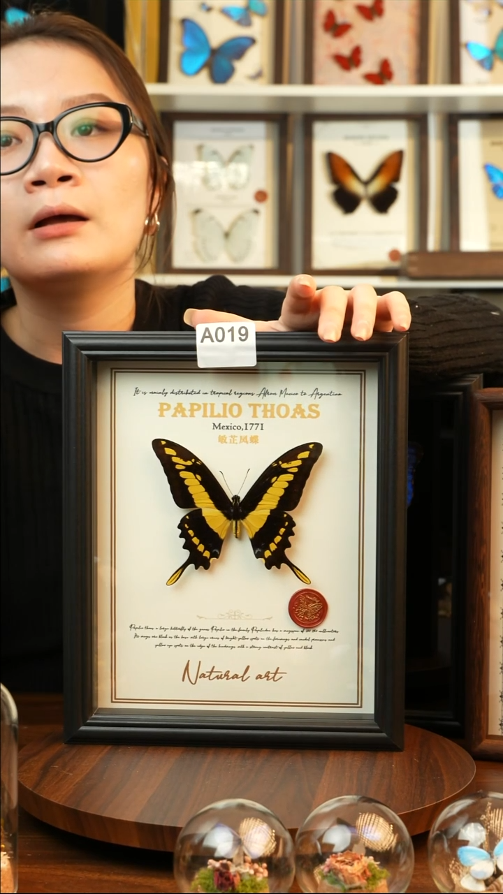 敏芷凤蝶-英文（10寸欧式黑框）A019