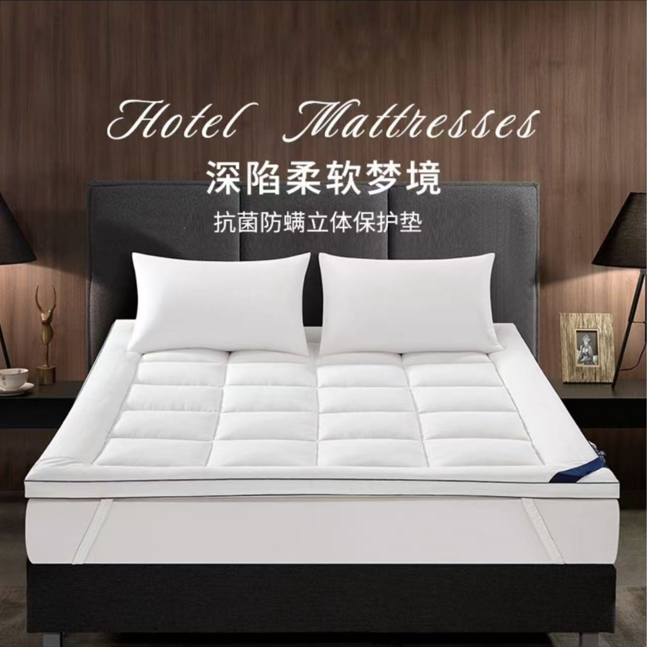 酒店抗菌防螨立体保护垫柔软加厚床垫软垫家用席梦思褥子