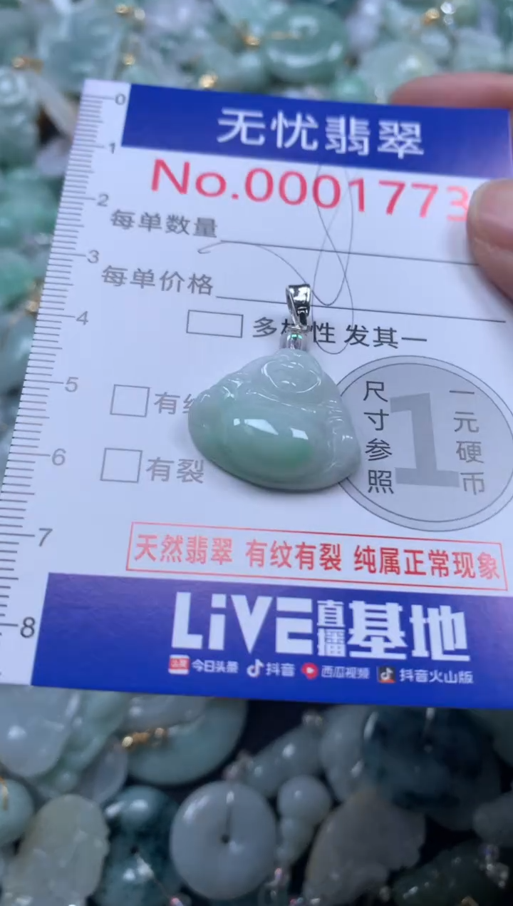 颈饰未镶嵌翡翠1773