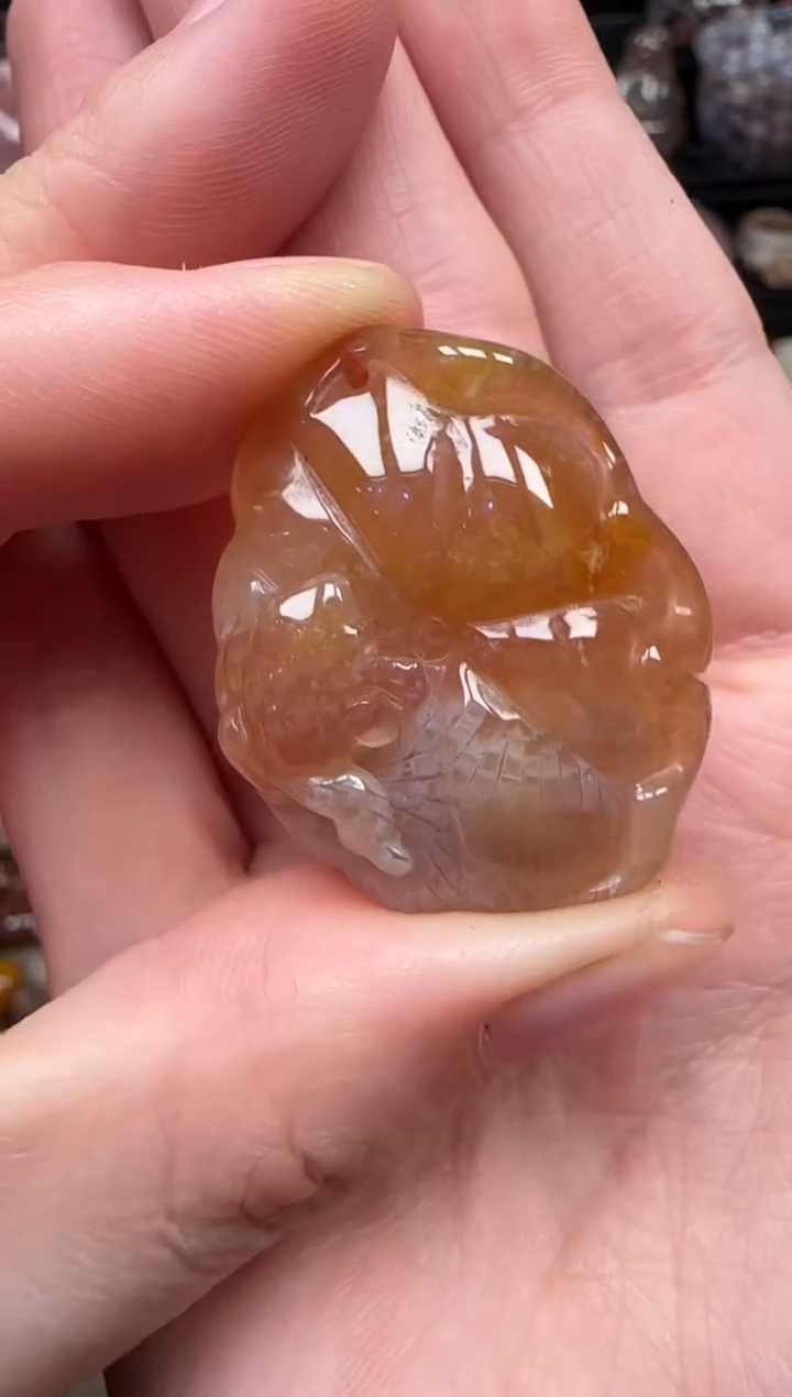 颈饰未镶嵌硅化珊瑚（珊瑚玉）208