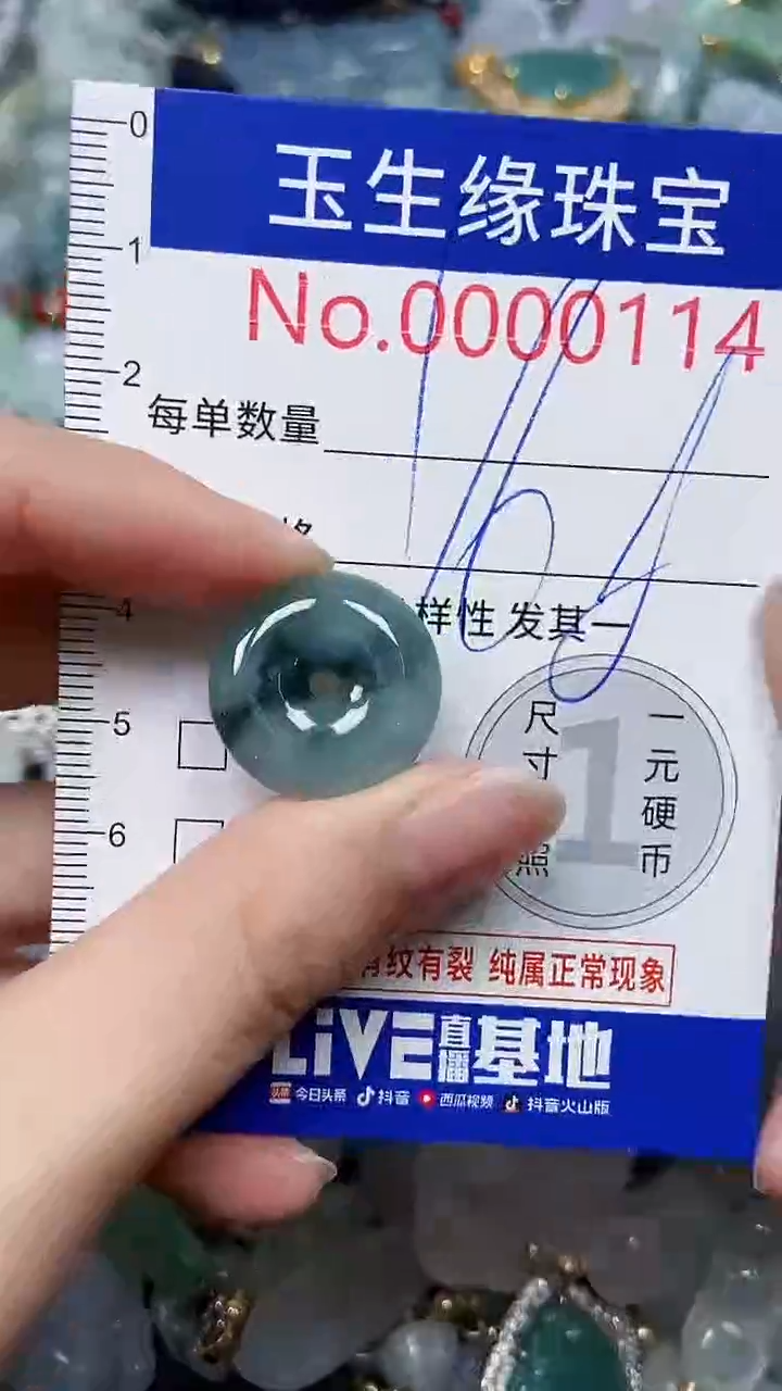 【闪购商品】翡翠颈饰未镶嵌闪购00000114