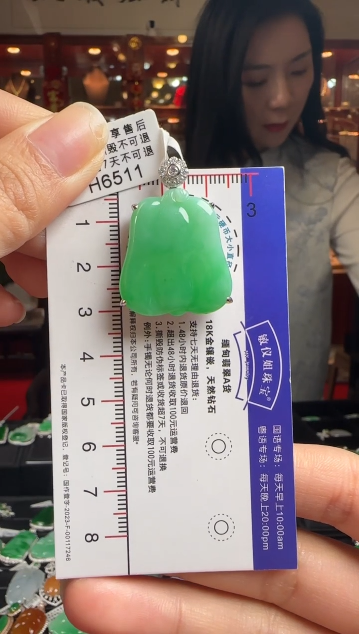 【闪购商品】翡翠颈饰18K金镶嵌H6511绿福瓜