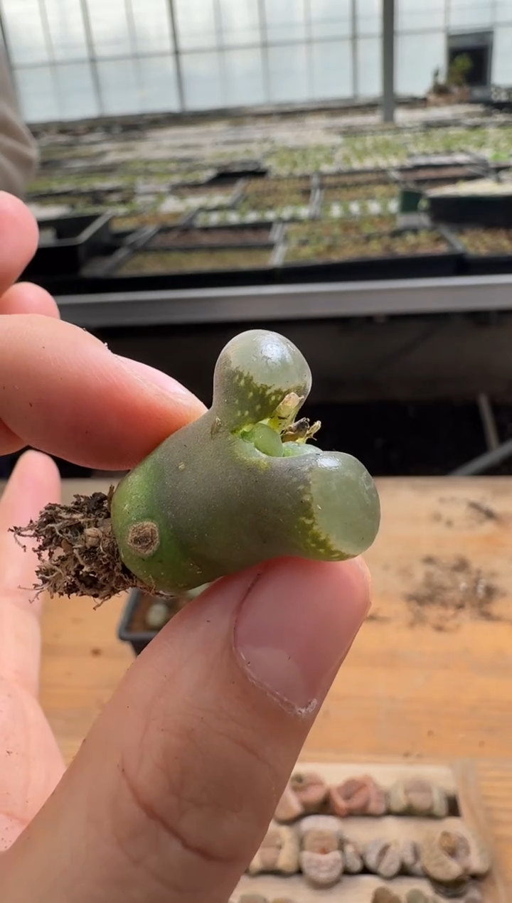 【闪购商品】1/22-137