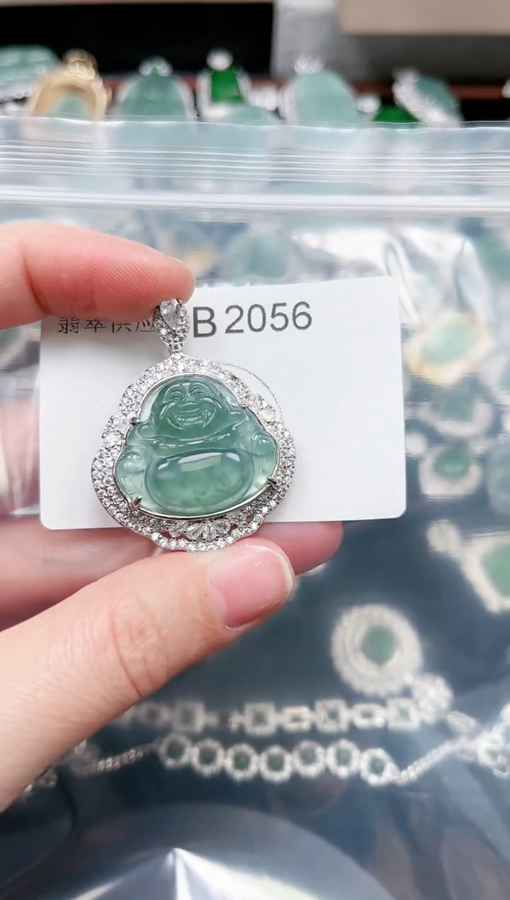 【闪购商品】翡翠颈饰未镶嵌赠皮绳2056