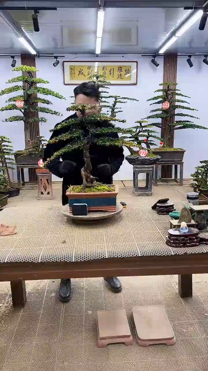 【闪购商品】0000000000