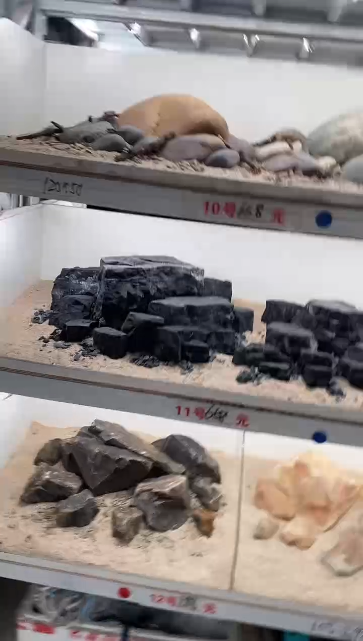 11号鱼缸造景（不含底砂）