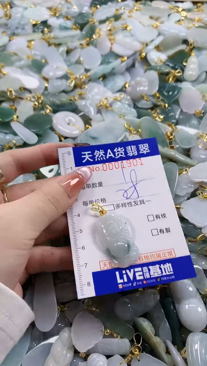 颈饰未镶嵌翡翠天然A货翡翠