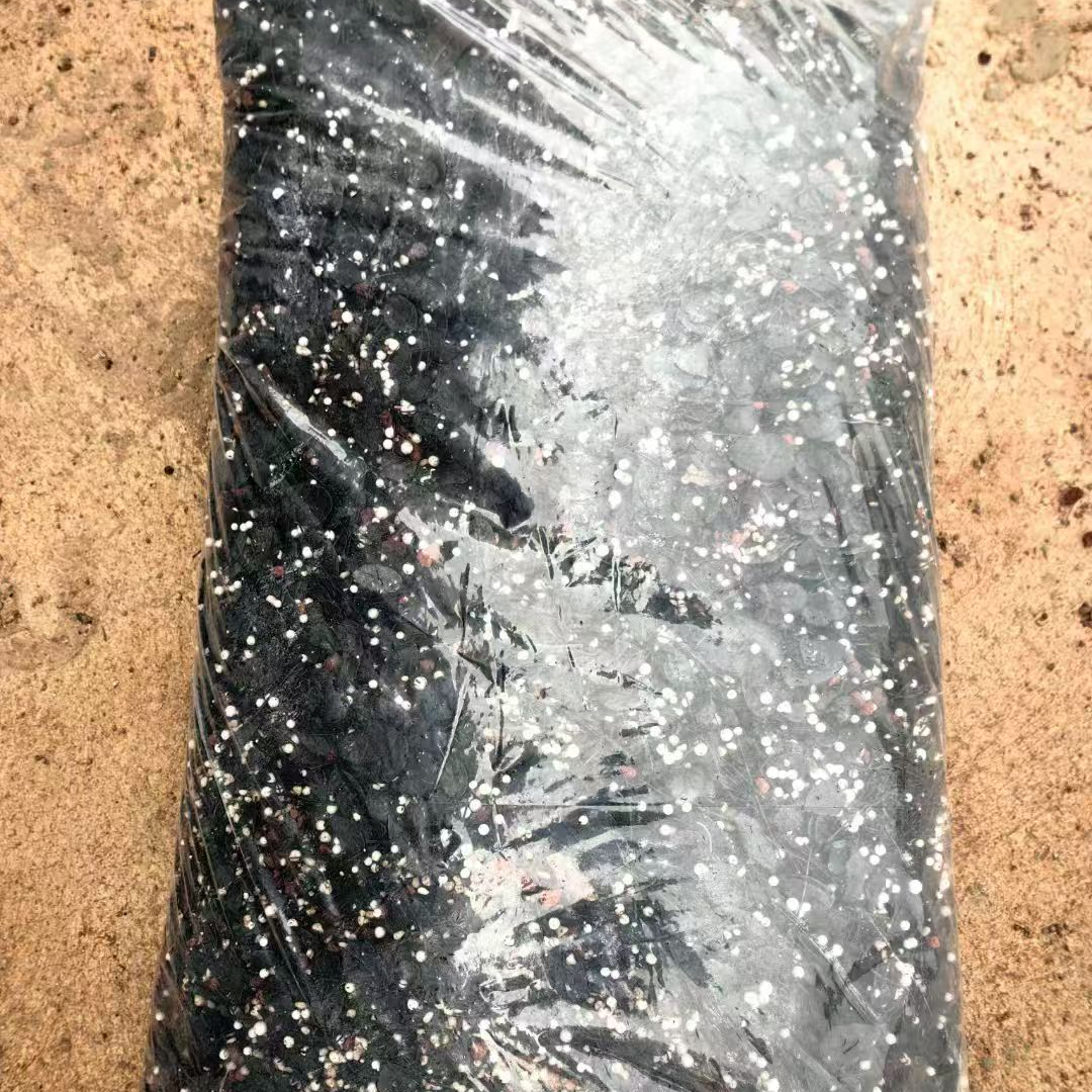 飞哥植兰宝1号料