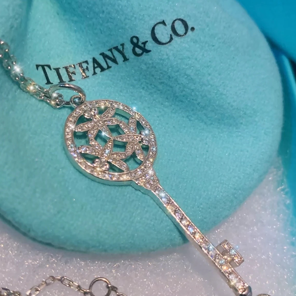 99新 Tiffany & Co./蒂芙尼 小花攀攀keys 铂金满钻蜻蜓钥匙 项链
