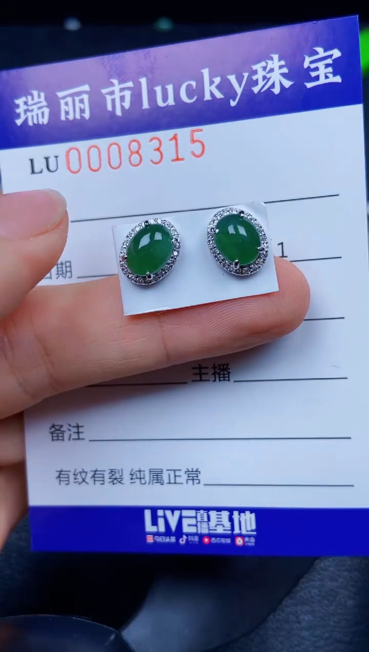 【闪购商品】翡翠颈饰银S925镶嵌8315