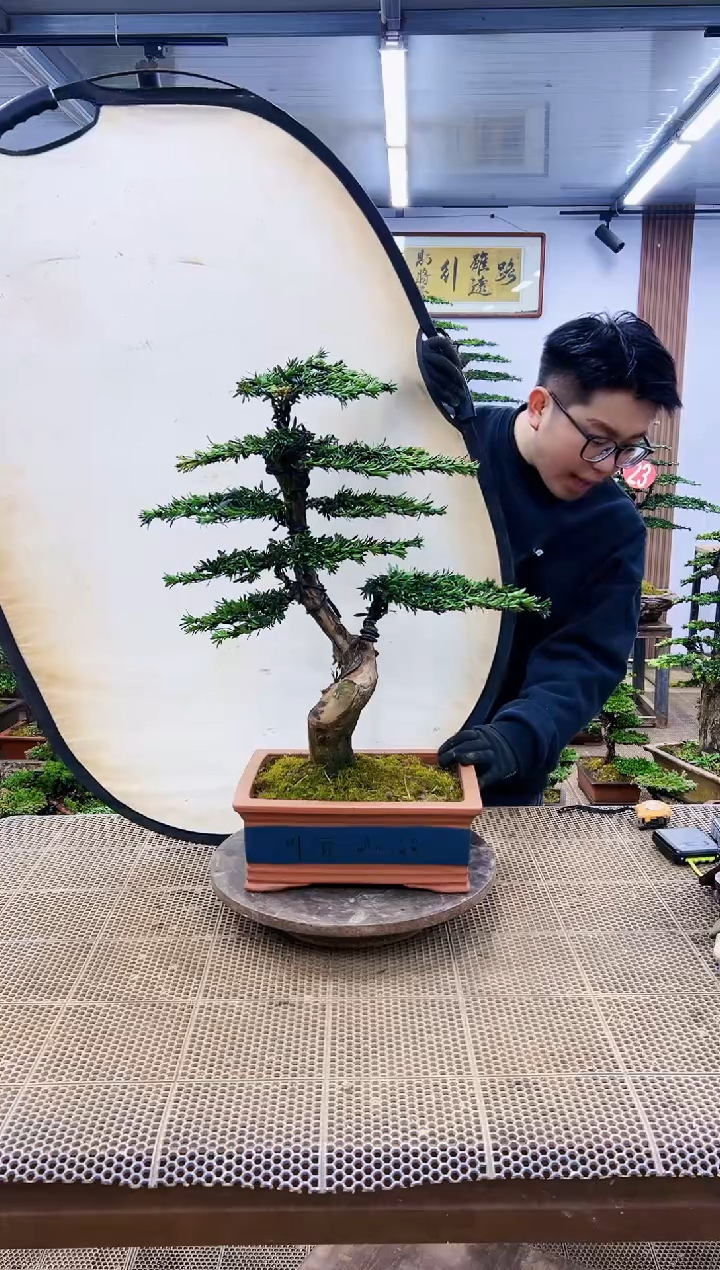 【闪购商品】一物一拍，所见即所得