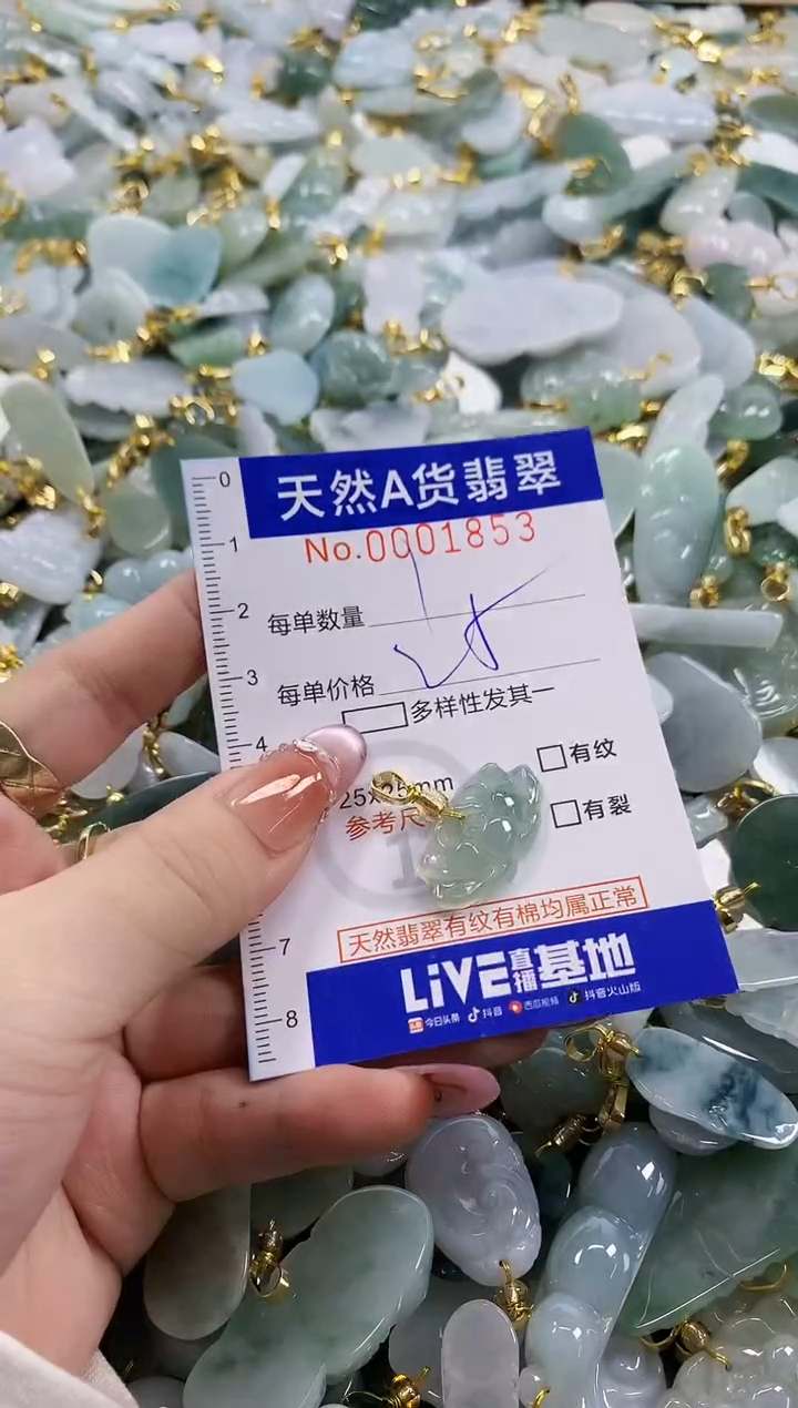 颈饰未镶嵌翡翠天然A货翡翠