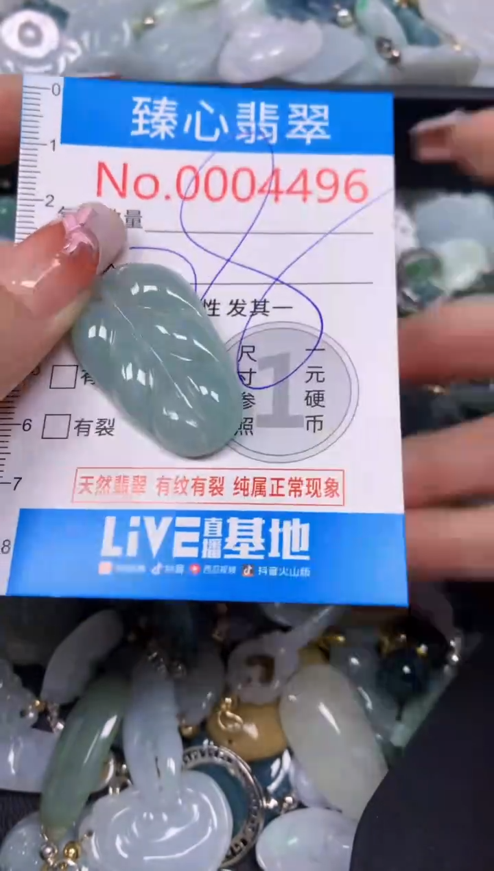 【闪购商品】翡翠颈饰未镶嵌含绳000