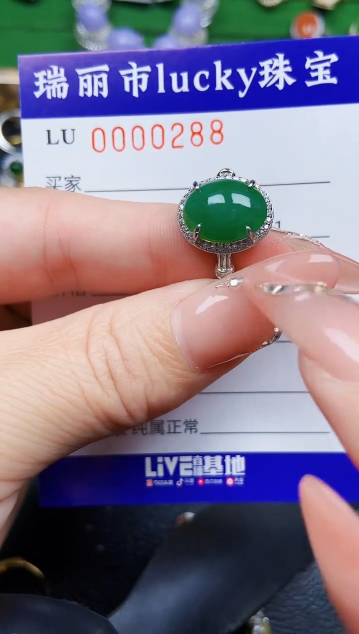 【闪购商品】翡翠颈饰银S925镶嵌0288