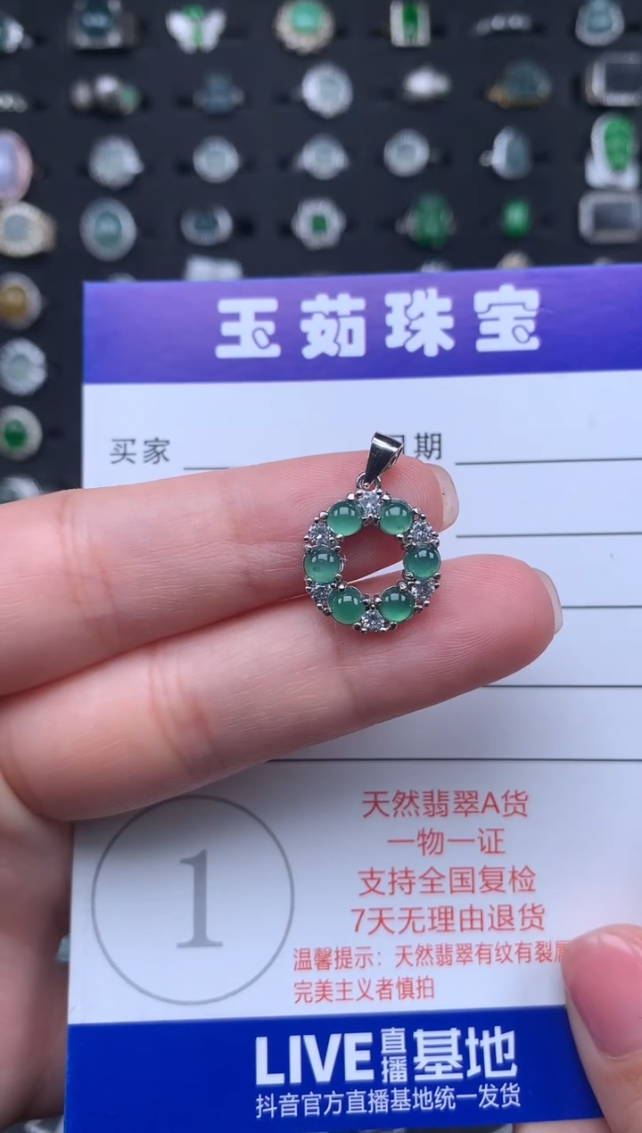【闪购商品】翡翠颈饰银S925镶嵌234234