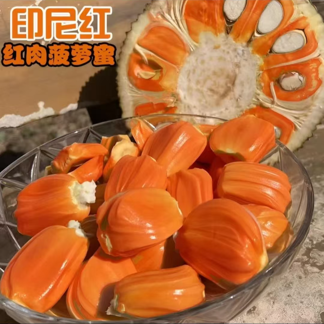 四季菠萝蜜苗 耐热耐寒南方北方阳台庭院种植果树苗