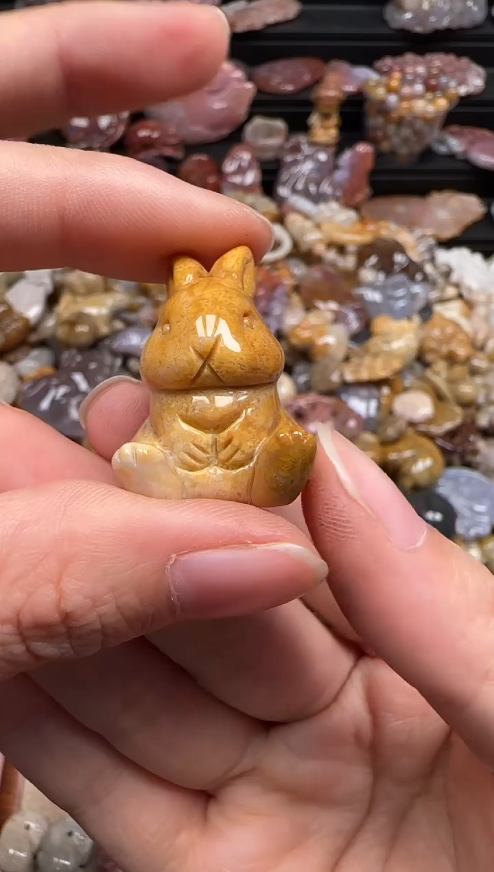 【闪购商品】硅化珊瑚（珊瑚玉）颈饰未镶嵌727