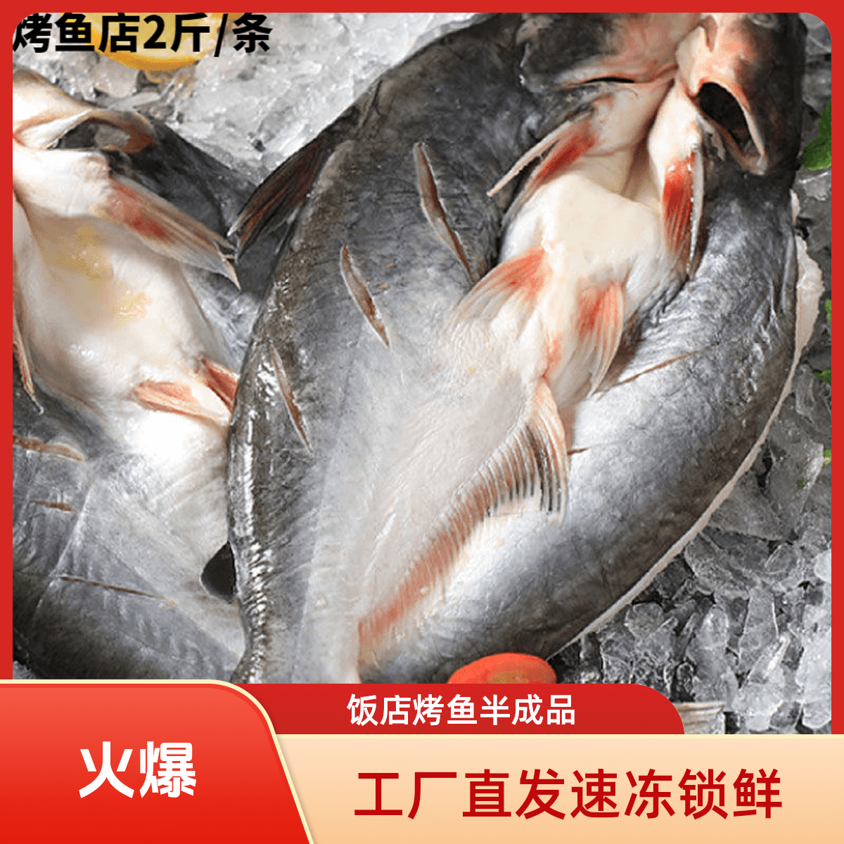 特大号2斤/条开背巴沙鱼无冰新鲜冷冻整条湄公鱼外卖烤鱼饭凌波鱼