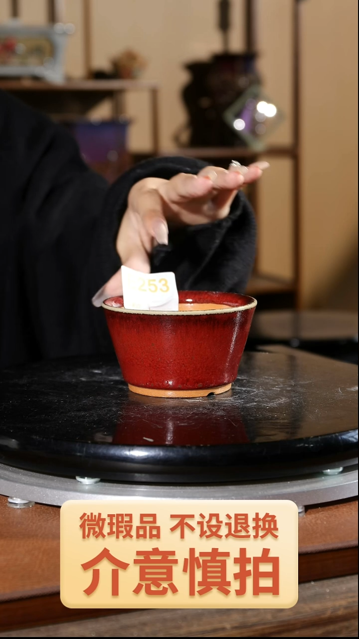 【闪购商品】红陶253